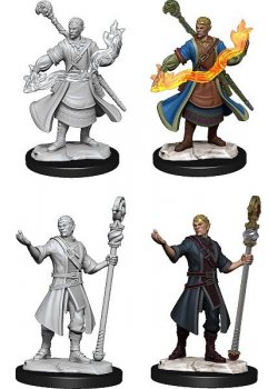 D&D Nolzur's Marvelous Miniatures: Half-Elf Wizard